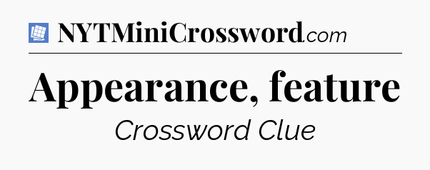 Appearance, feature Puzzle Page Crossword Clue