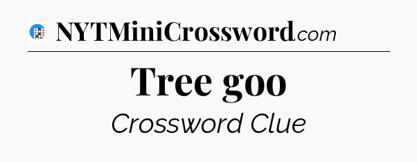 Tree goo Crossword Clue