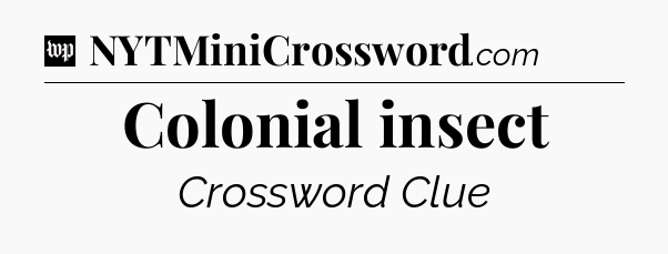 Colonial insect Crossword Clue