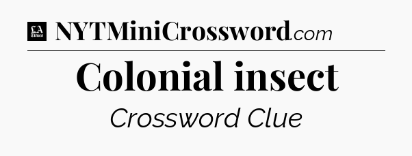 Colonial insect - LA Times Crossword