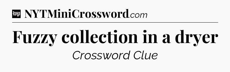 Fuzzy collection in a dryer Crossword Clue