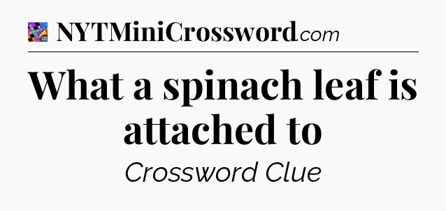 What a spinach leaf is attached to Crossword Clue