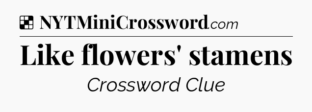 Solution: Like flowers' stamens - NYT Crossword