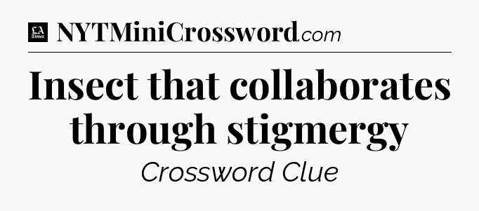 Insect that collaborates through stigmergy - LA Times Crossword