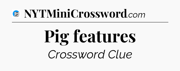 Pig features Crossword Clue