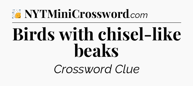 Birds with chisel-like beaks - 7 Little Words