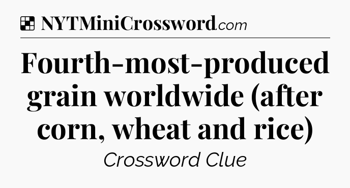 Solution: Fourth-most-produced grain worldwide (after corn, wheat and rice) - NYT Crossword