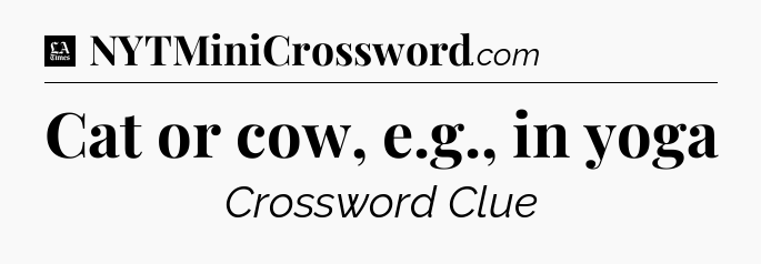 Cat or cow, e.g., in yoga - LA Times Crossword