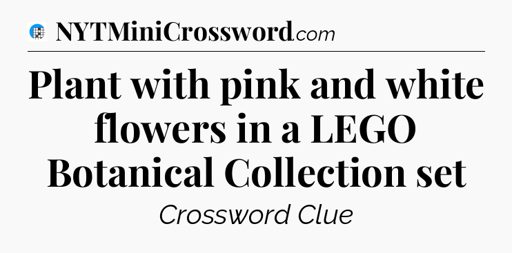 Plant with pink and white flowers in a LEGO Botanical Collection set Crossword Clue
