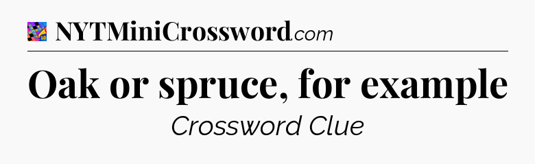Oak or spruce, for example Crossword Clue