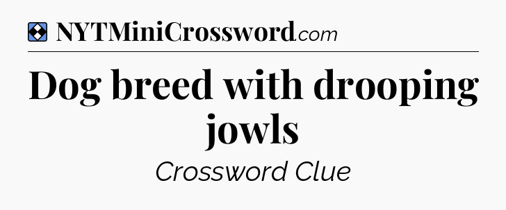 Solution: Dog breed with drooping jowls - NYT Mini Crossword