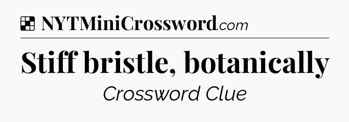 Solution: Stiff bristle, botanically - NYT Crossword