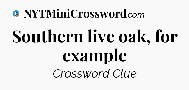Southern live oak, for example Crossword Clue