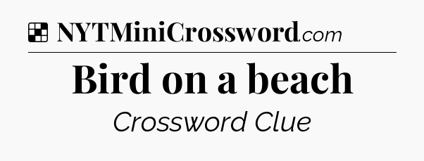 Solution: Bird on a beach - NYT Crossword