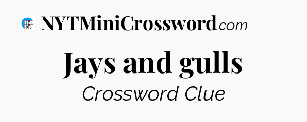 Jays and gulls Crossword Clue