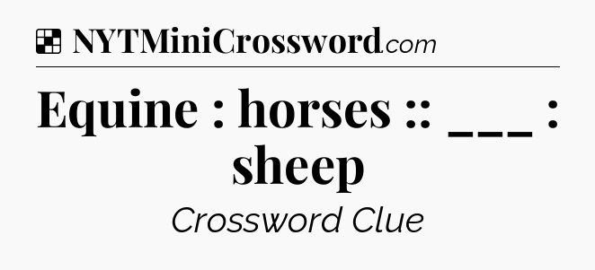 Solution: Equine : horses :: ___ : sheep - NYT Crossword