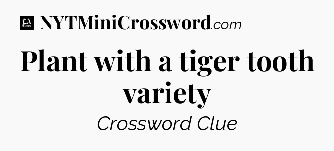 Plant with a tiger tooth variety - LA Times Crossword