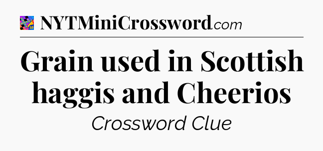 Grain used in Scottish haggis and Cheerios Crossword Clue