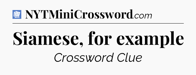 Siamese, for example Puzzle Page Crossword Clue