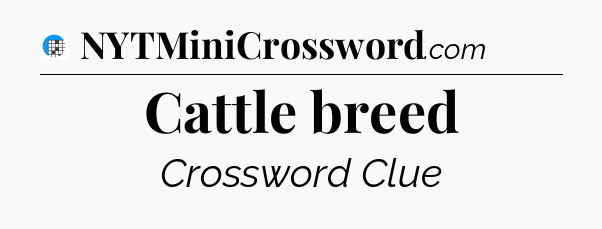 Cattle breed Crossword Clue