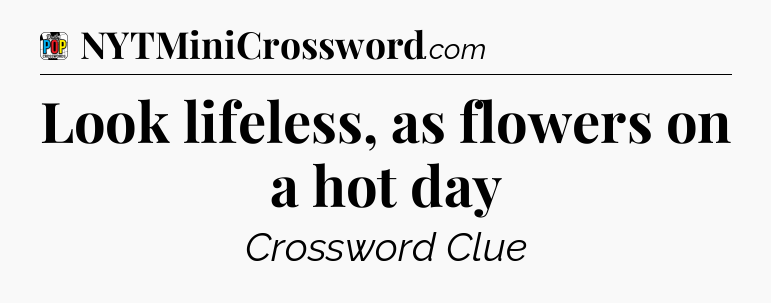 Look lifeless, as flowers on a hot day Crossword Clue
