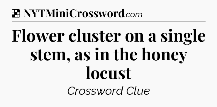 Solution: Flower cluster on a single stem, as in the honey locust - NYT Crossword
