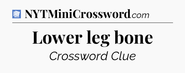 Lower leg bone Puzzle Page Crossword Clue