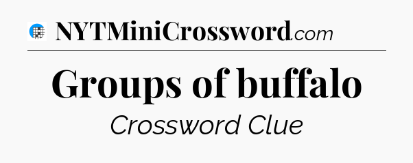 Groups of buffalo Crossword Clue