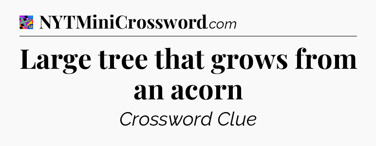Large tree that grows from an acorn Crossword Clue