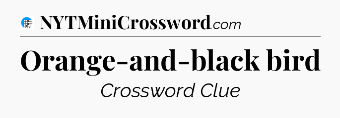 Orange-and-black bird Crossword Clue
