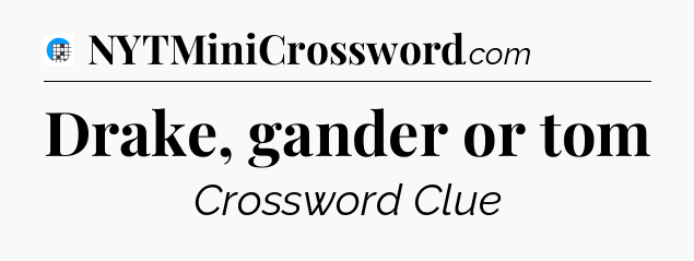 Drake, gander or tom Crossword Clue