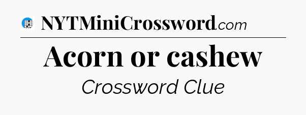 Acorn or cashew Crossword Clue