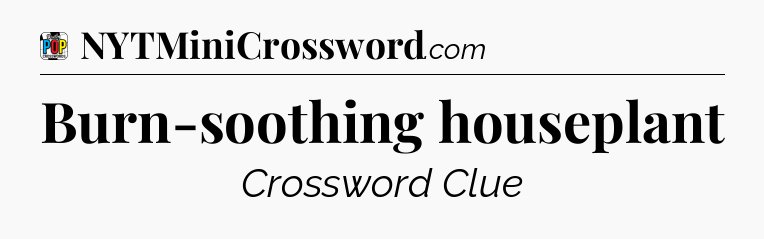 Burn-soothing houseplant Crossword Clue