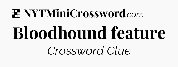 Solution: Bloodhound feature - NYT Crossword