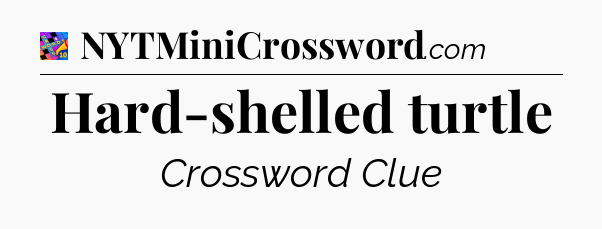 Hard-shelled turtle Crossword Clue