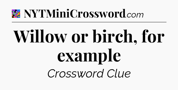 Willow or birch, for example Crossword Clue