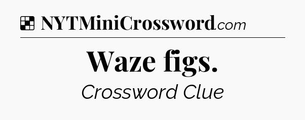 Solution: Waze figs - NYT Crossword
