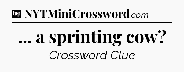 ... a sprinting cow Crossword Clue