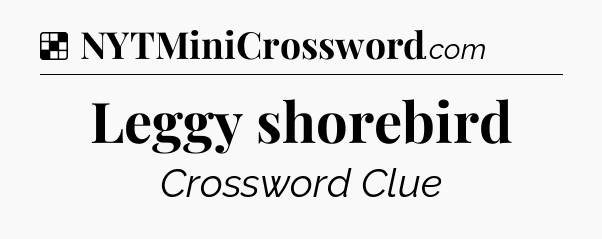 Solution: Leggy shorebird - NYT Crossword