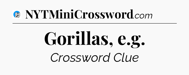 Gorillas, e.g Crossword Clue