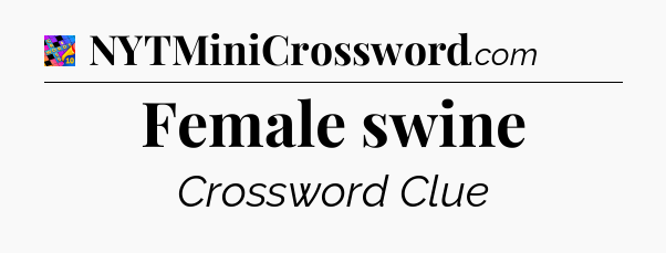 Female swine Crossword Clue