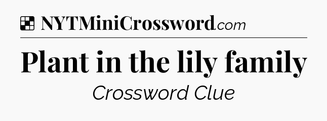 Solution: Plant in the lily family - NYT Crossword