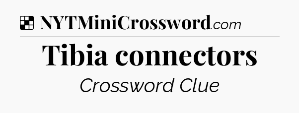 Solution: Tibia connectors - NYT Crossword