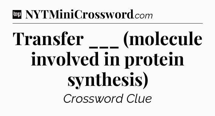 Transfer ___ (molecule involved in protein synthesis) Crossword Clue