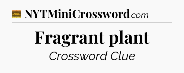 Fragrant plant - Eugene Sheffer Crossword