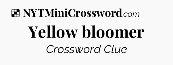 Solution: Yellow bloomer - NYT Crossword