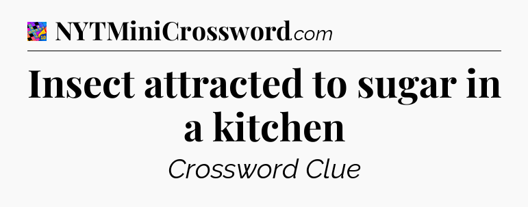 Insect attracted to sugar in a kitchen Crossword Clue