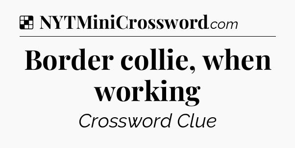 Solution: Border collie, when working - NYT Crossword