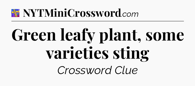 Green leafy plant, some varieties sting Codycross