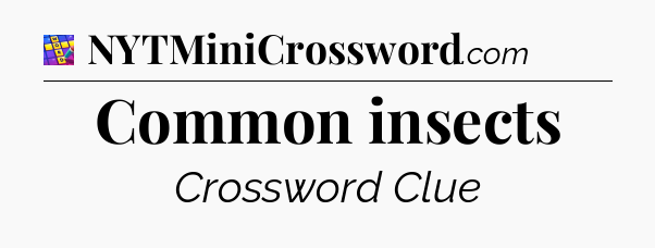 Common insects Codycross